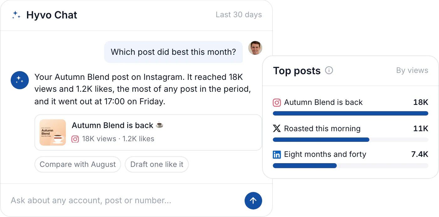 Hyvo Chat answering which post did best in plain language, with the post and its views and likes beside the top posts by views