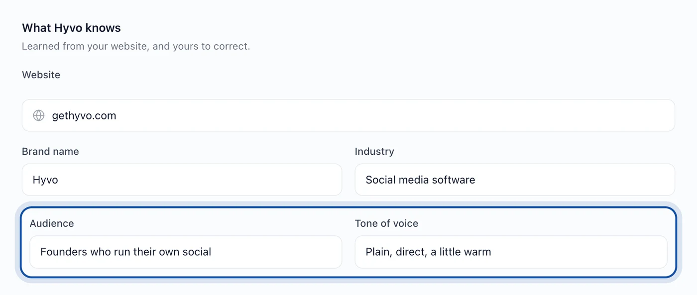 Hyvo's brand memory fields: website, brand name, industry, audience and tone of voice, filled in